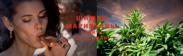 прущие крисы Балабаново