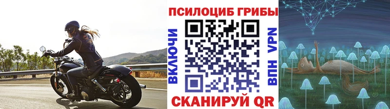 Псилоцибиновые грибы Psilocybe  Купить закладки  Мамадыш 