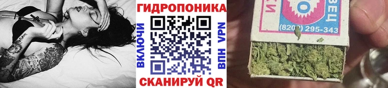 Бошки Шишки планчик  Купить где  Мамадыш 